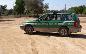 Scarichi dal frantoio in un terreno agricolo: scatta il sequestro