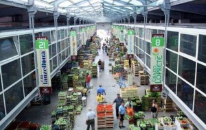 Ex mercato ortofrutticolo di Fasano: firmata l’ordinanza di sgombero
