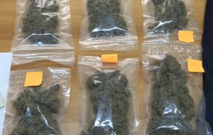 In casa quasi 400 grammi di erba selezionata: arrestata giovane donna pusher