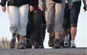 “Sport in Cammino” progetto del Coni e della Regione Puglia rivolto agli impianti sportivi