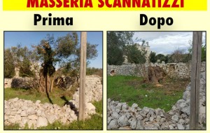 M5S San Vito: “atto di violenza sugli ulivi di Scannatizzi”