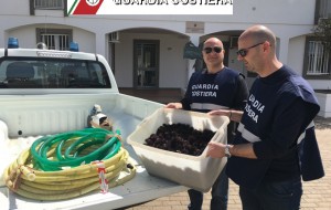 Sequestrato impianto abusivo di prelievo di acqua di mare e ricci
