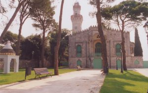 Un nido per la tua voce: sabato alla Selva reading di poesie di Tagore con accompagnamento musicale di Luca Sparro