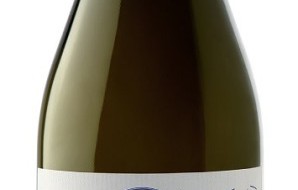 PaoloLeo presenta la nuova linea di vini biologici e le nuove etichette di Taccorosso e Nerimatti