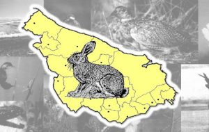 Rinnovato il Consiglio Direttivo dell’Ambito Territoriale di Caccia di Brindisi