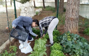 Dall’orto della Salvemini alla cucina dell’Alberghiero