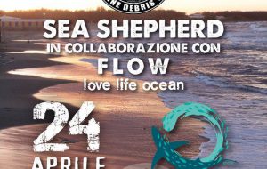Sea Shepherd a Brindisi: domenica pulizia della litoranea