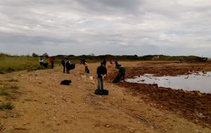 Insieme per pulire la litoranea: successo per l’iniziativa di Sea Shepherd e Aps Flow