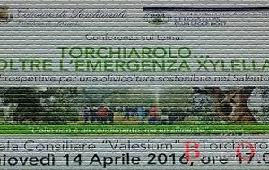 Giovedì 14 conferenza su “Torchiarolo … oltre l’emergenza Xylella”
