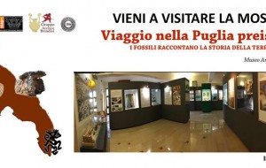 Continua il viaggio nella Puglia preistorica al MAPRi di Brindisi