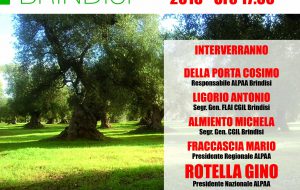 Mercoledì si presenta la sede provinciale dell’Associazione dei produttori agroalimentari e ambientali