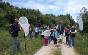 Domenica 8 “Butterfly watching” al Parco “Ciuchino Birichino”