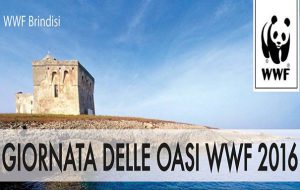 La Giornata delle Oasi WWF nella Riserva di Torre Guaceto
