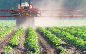 Apre a Brindisi uno sportello informativo sull’utilizzo dei prodotti fitosanitari in agricoltura