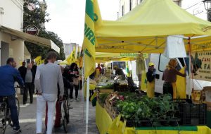 Torna a San Vito il mercato di Campagna Amica