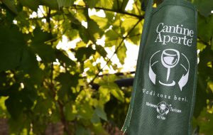 Domenica 22 “Cantine Aperte in Vendemmia”: in provincia si brinda a Cantina San Donaci e Cantine Due Palme