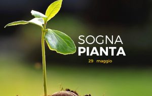 Sogna e Pianta è il nuovo contest della Scuola Talìa