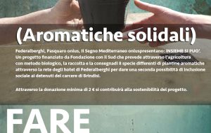 Progetto Insieme si può: Sabato 2 la consegna degli attestati ai detenuti del carcere di Brindisi
