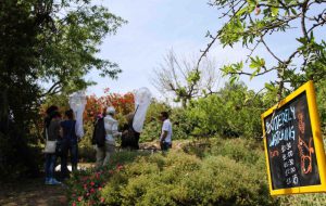 Butterfly watching nel Parco Dune Costiere