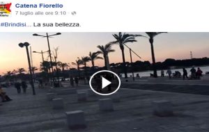 Da fuori estasiati dalla città, i brindisini tentano di farli ricredere: bisogna essere davvero dei coglioni. Di Andrea Pezzuto