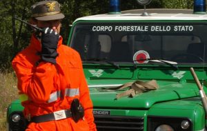Corpo Forestale: bilancio di mezza estate degli incendi nel brindisino