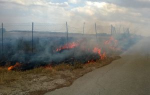 Principi di incendio al Cillarese: decisivo l’intervento delle Guardie volontarie Ekoclub