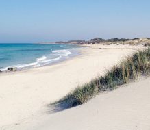 Set cinematografico a Torre Guaceto: dal 20 aprile al 5 maggio non sarà possibile accedere alla costa