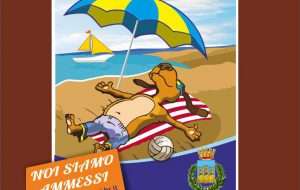 Ecco le spiagge free dog nelle marine di Ostuni