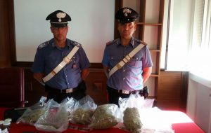Avevano in casa oltre 2 Kg di erba: arrestati due giovani conviventi