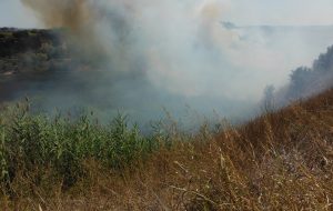 Incendio al Cillarese: il bilancio del Corpo Forestale