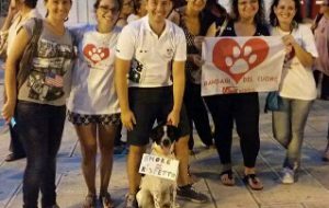 Randagi del cuore: grande successo per la manifestazione organizzata dalle Acli