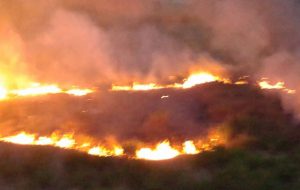 Ordinanza del sindaco Coppola per la prevenzione degli incendi