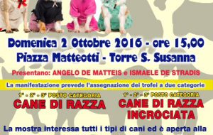 Amici a 4 Zampe: domenica a Torre S. Susanna la XVII mostra cinofila