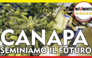 M5S Brindisi: “La Canapa non è una droga ma una Risorsa Sostenibile per un Futuro Ecologico”