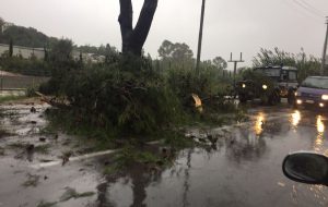 Tempesta di pioggia, fulmini e vento a Brindisi: allagamenti e danni. Colpevole omissione della Protezione Civile Comunale