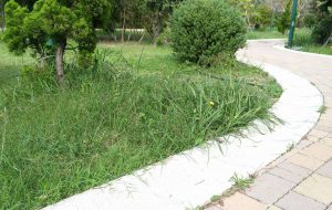 I parchi di Brindisi sono sporchi e mal curati