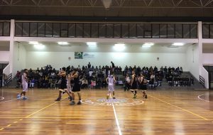 La Dinamo Basket vince ancora: asfaltato il basket Alezio