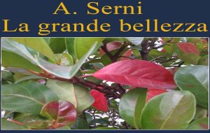 Colori da un matrimonio. Di Apunto Serni