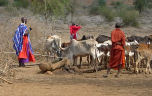 A Mesagne l’incontro con la comunità Masai