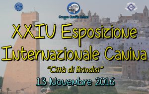 Domenica a Brindisi XXIV edizione dell’Esposizione Internazionale Canina ENCI