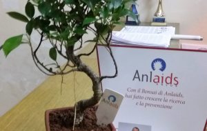 Bonsai Aid Aids: domenica anche a Brindisi la 30^ edizione della raccolta fondi