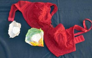 15 grammi di cocaina ed eroina nel reggiseno: in galera una donna e due complici