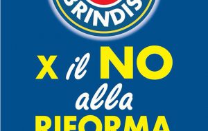 Forza Italia Giovani invitano al voto del Referendum