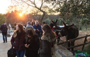 19 studenti dell’Università di Padova alla scoperta delle eccellenze enogastronomiche della provincia di Brindisi