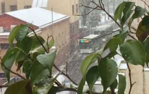 Emergenza neve, STP: “non è possibile garantire la sicurezza dei passeggeri”