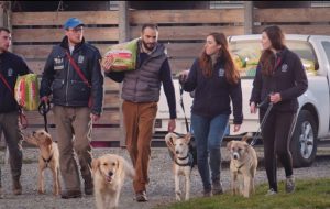 Consegnati pasti per i Pets dei rifugi Enpa di Brindisi