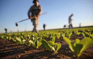 Ufficio Provinciale Agricoltura di Brindisi soppresso. Nardone: “Notizia priva di fondamento”