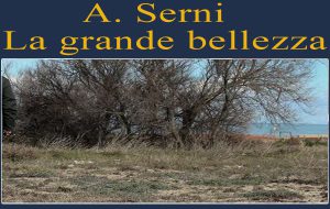 Gli inizi. Di Apunto Serni