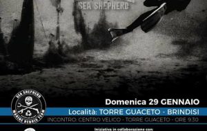 Sea Shepherd torna a Brindisi: domenica appuntamento per la pulizia di spiaggia e fondale di Torre Guaceto
