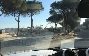 Alberi abbattuti per far posto al centro commerciale: la denuncia di Tateo (NCS)